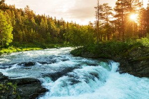 Mountain River