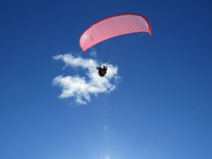Paraglider
